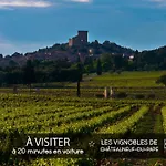 Palais Des Papes - Studio + Cour Privative