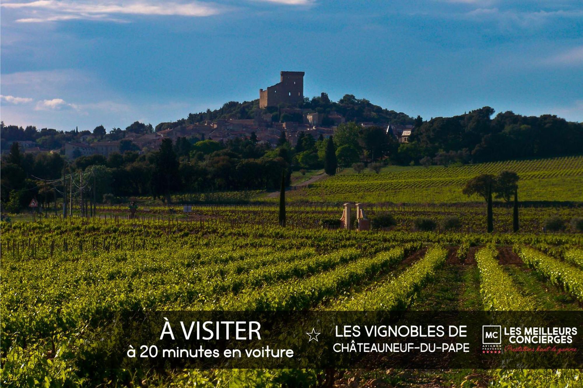 Palais Des Papes - + Cour Privative Appartement *